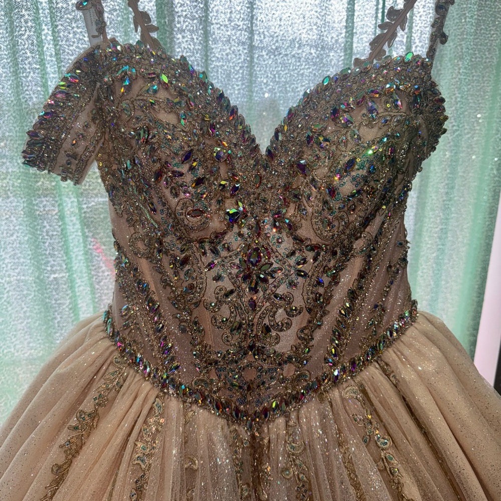 NEW Princesa by Ariana Vara Quinceanera gown.